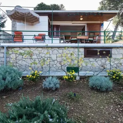 House Viki