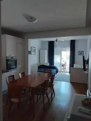 Kuhinja ili čajna kuhinja u objektu Apartments Karaman