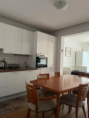 Kuhinja ili čajna kuhinja u objektu Apartments Karaman