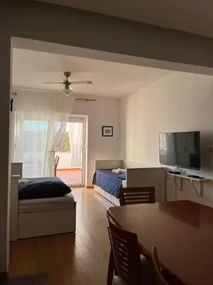 TV i/ili zabavni centar u objektu Apartments Karaman