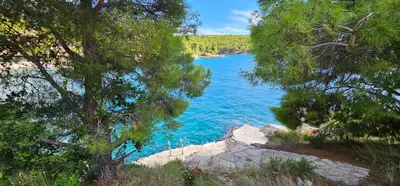 Priroda u blizini vila
