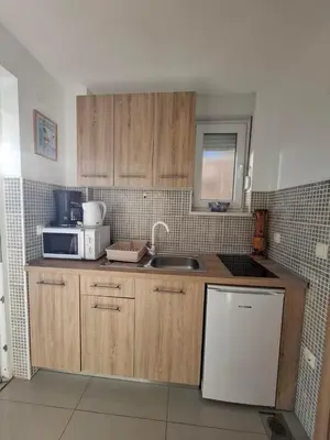 Kuhinja ili čajna kuhinja u objektu Apartman Branko