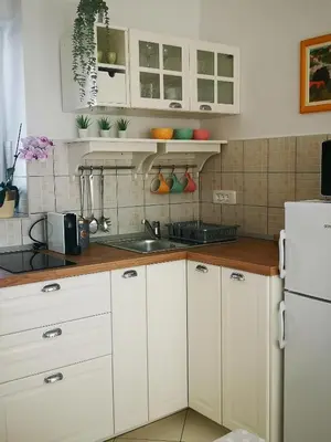 Kuhinja ili čajna kuhinja u objektu Apartments Prosperina Hvar