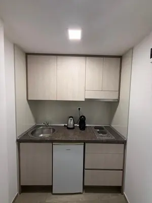 Kuhinja ili čajna kuhinja u objektu Apartments Matić 2