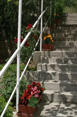 Vrt u objektu Apartments by the sea Pisak - Omis - 2750