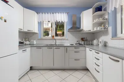 Kuhinja ili čajna kuhinja u objektu Apartments by the sea Sumartin - Brac - 2940