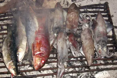 Životinje u apartmanu ili u blizini