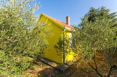 Vrt u objektu House Bojan