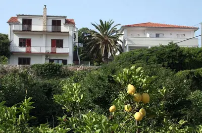 Vrt u objektu Apartments and rooms by the sea Jelsa, Hvar - 4602