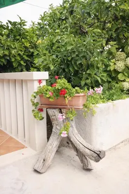 Vrt u objektu Apartments by the sea Sumartin, Brac - 5620