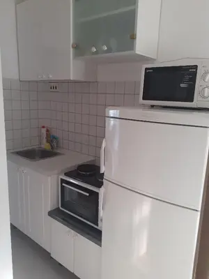 Kuhinja ili čajna kuhinja u objektu Apartments with parking space Sutivan, Brac - 5629