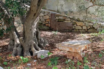 Vrt u objektu Seaside secluded apartments Cove Skozanje, Hvar - 5713