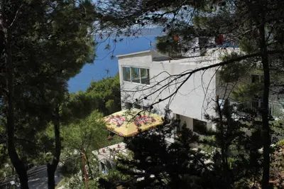 Priroda u blizini apartmana