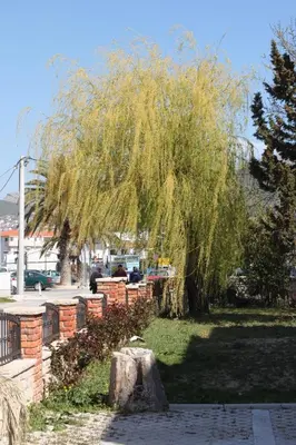 Tlocrt objekta Apartments by the sea Podstrana, Split - 7594