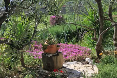 Vrt u objektu Apartments with parking space Stari Grad, Hvar - 8708