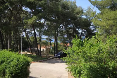 Priroda u blizini apartmana