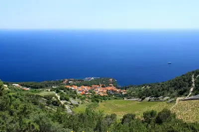Priroda u blizini apartmana