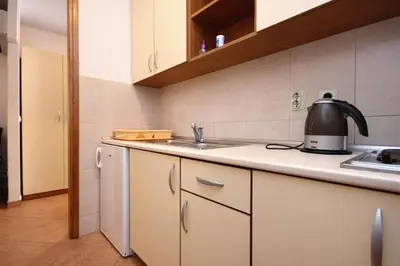 Kuhinja ili čajna kuhinja u objektu Apartment Baska Voda 10027c