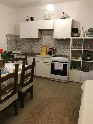 Kuhinja ili čajna kuhinja u objektu Apartments with parking space Stari Grad, Hvar - 21723
