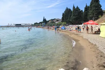Priroda u blizini apartmana