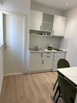 Kuhinja ili čajna kuhinja u objektu Apartments Olga 1