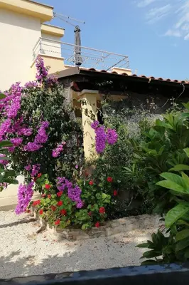 Vrt u objektu Apartments by the sea Cove Osibova, Brac - 23774