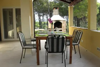 Popločani dio dvorišta ili vanjski dio objekta Apartments by the sea Cove Osibova, Brac - 23774