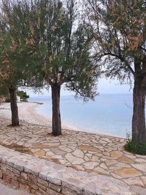 Priroda u blizini apartmana