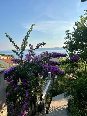 Priroda u blizini apartmana