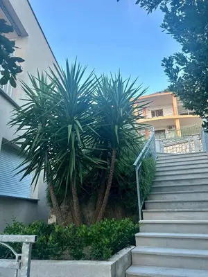 Zgrada u kojoj se nalazi apartman
