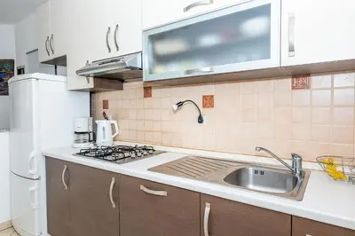 Kuhinja ili čajna kuhinja u objektu Apartment Nena