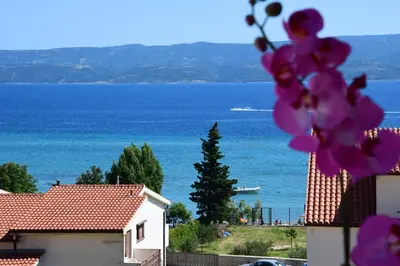 Priroda u blizini apartmana