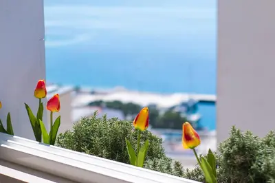 Priroda u blizini apartmana