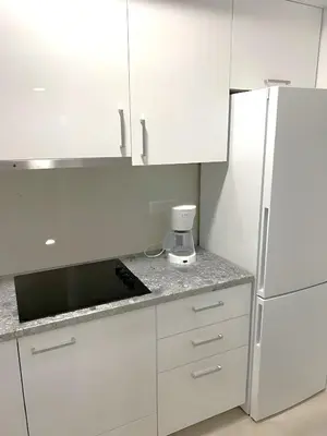Kuhinja ili čajna kuhinja u objektu Apartmani Brela 18