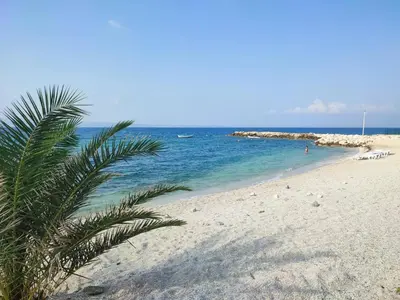 Priroda u blizini apartmana