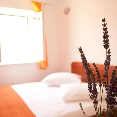Apartments Jaksic