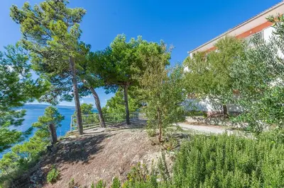 Priroda u blizini apartmana