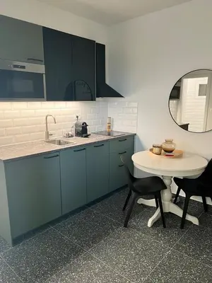 Kuhinja ili čajna kuhinja u objektu Apartman Ina
