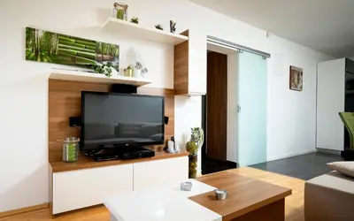 TV i/ili zabavni centar u objektu Vindobona Apartment 2
