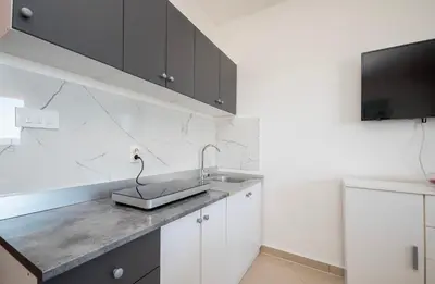 Kuhinja ili čajna kuhinja u objektu Apartments Zvonko