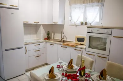Kuhinja ili čajna kuhinja u objektu Apartman PAOLA