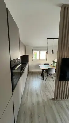 Kuhinja ili čajna kuhinja u objektu Luxury Penthouse Jakov