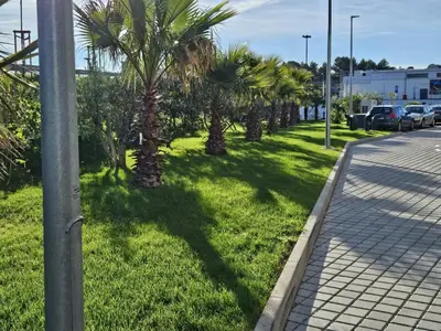 Vrt u objektu Azimut