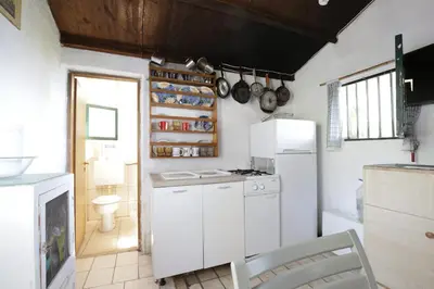 Kuhinja ili čajna kuhinja u objektu Secluded fisherman's cottage Cove Ducac, Brac - 24291