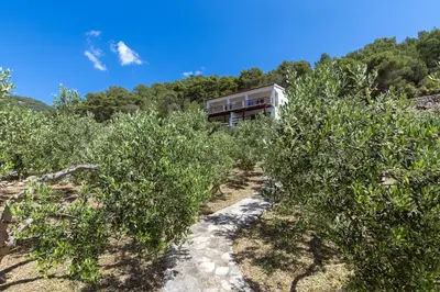 Priroda u blizini apartmana