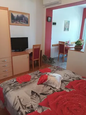 TV i/ili zabavni centar u objektu Apartmani Dajak 1