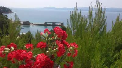 Priroda u blizini apartmana