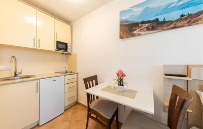 Kuhinja ili čajna kuhinja u objektu 1 Bedroom Awesome Apartment In Baska Voda