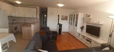 Kuhinja ili čajna kuhinja u objektu Apartman Gabriel