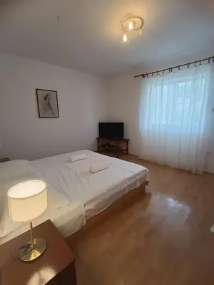 Krevet ili kreveti u jedinici u objektu Apartmani Marijan Zavala-prizemlje